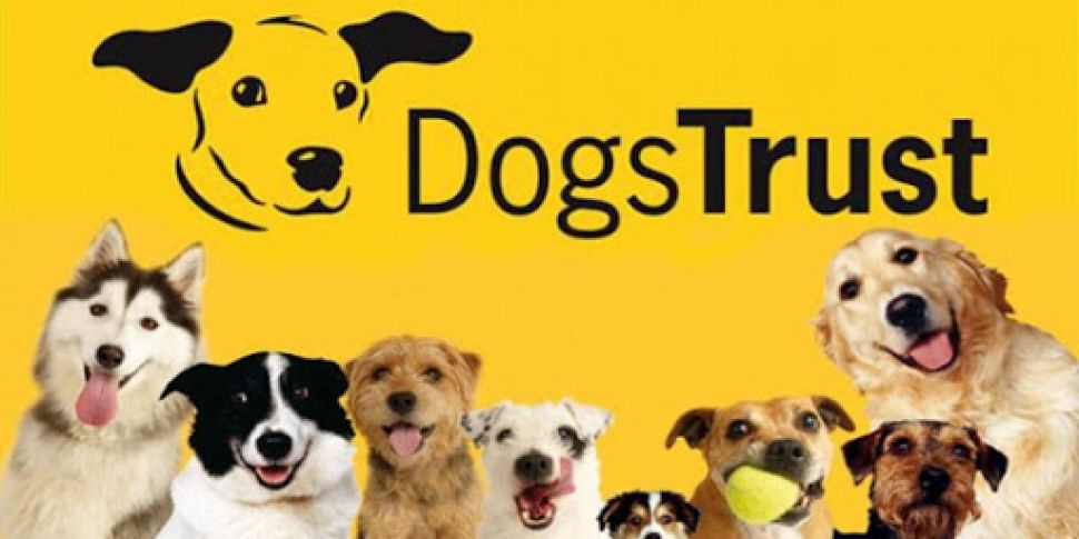 Dogs Trust launch new campaign...