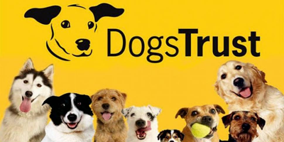 Dogs Trust Says It Is Worried...