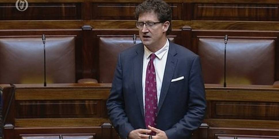 Green Party leader Eamon Ryan...