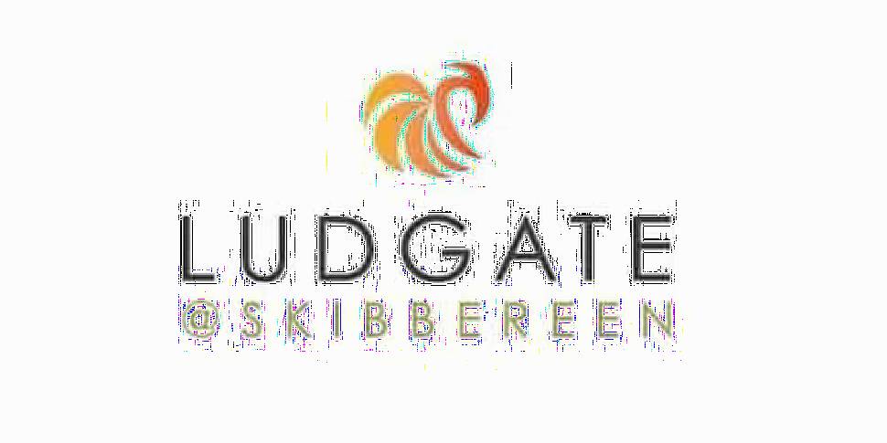 Skibbereen's Ludgate Hub leads...