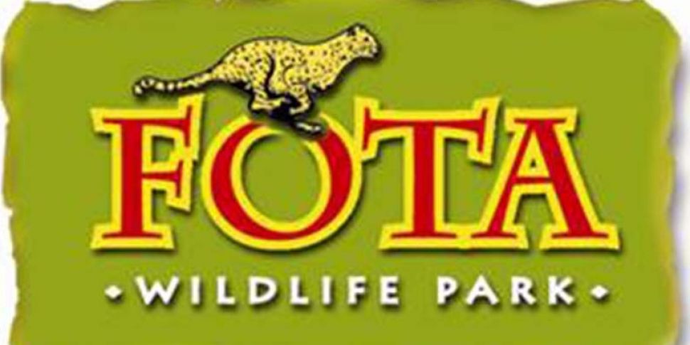 Management at Fota Wildlife Pa...
