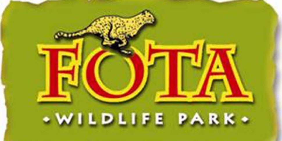 UPDATE: Fota Wildlife monkey s...