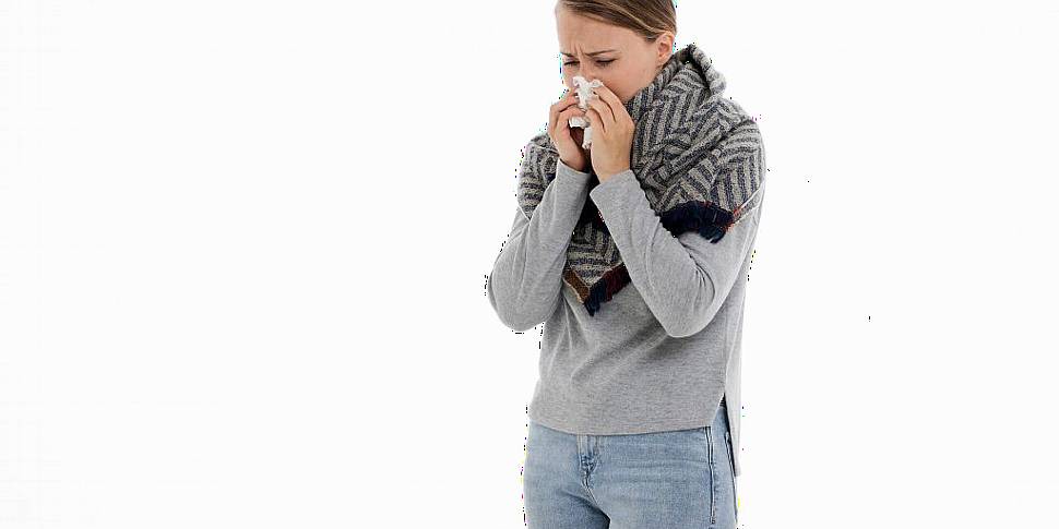 HPSC: Increase in Flu Viruses...