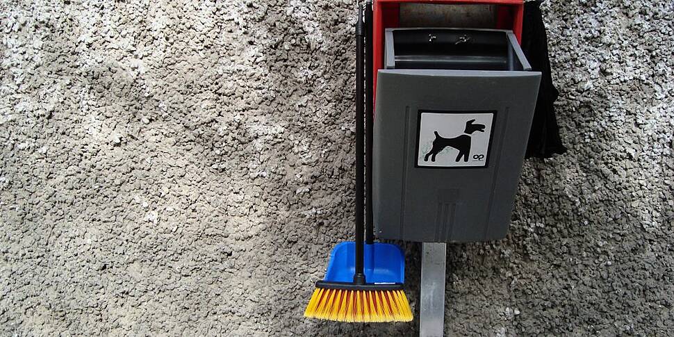 Dublin City Council: Dog Poo M...