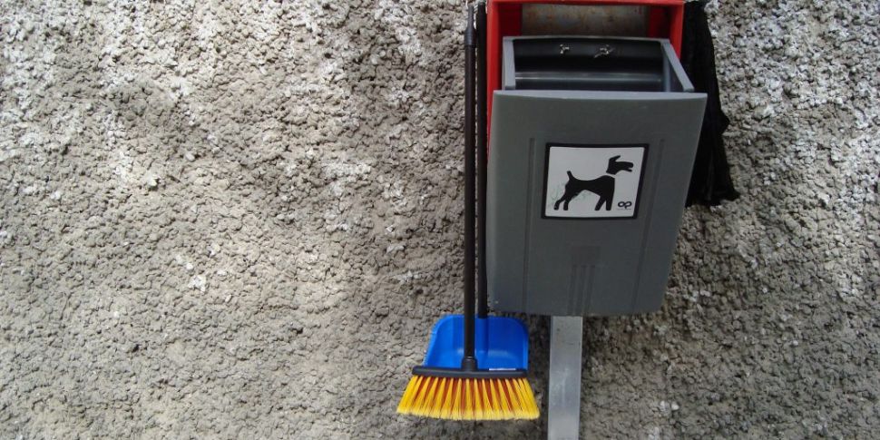 No Dog Fouling Fines Issued In...