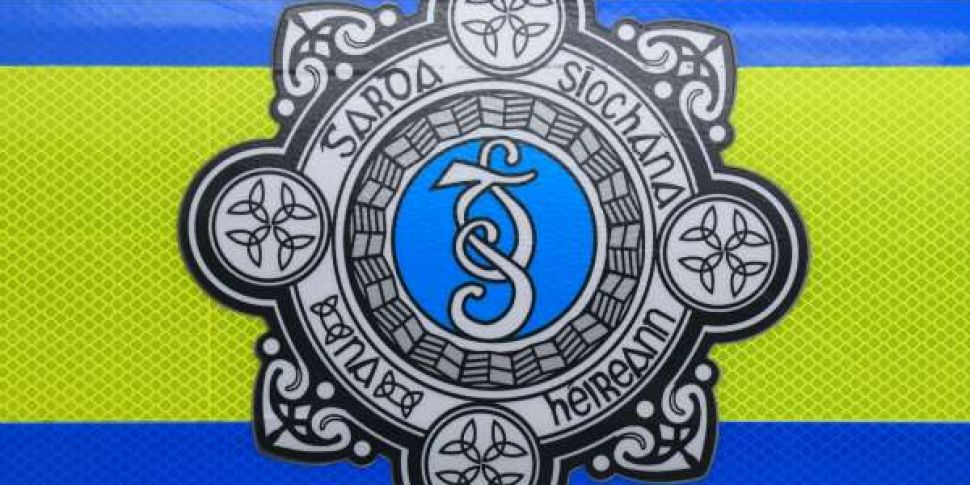 Cork Gardai rescue five childr...