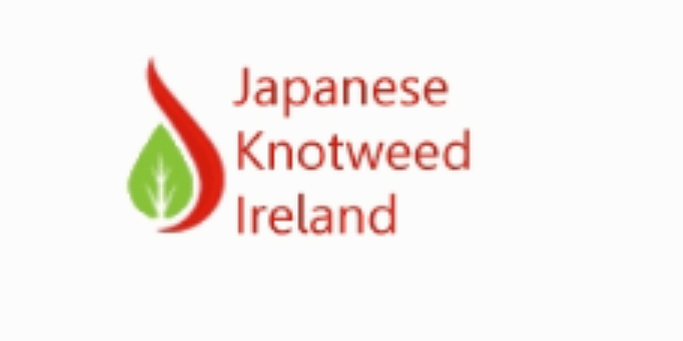 Japanese Knotweed Ireland