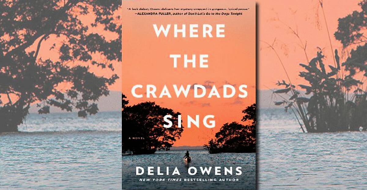 Two more actors added to cast of Where The Crawdads Sing movie | www ...