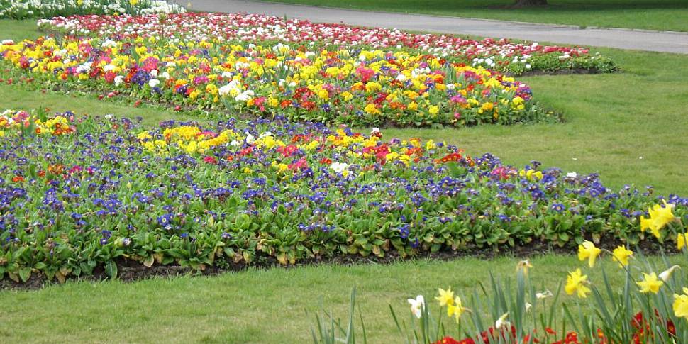 Two parks in Cork city awarded...