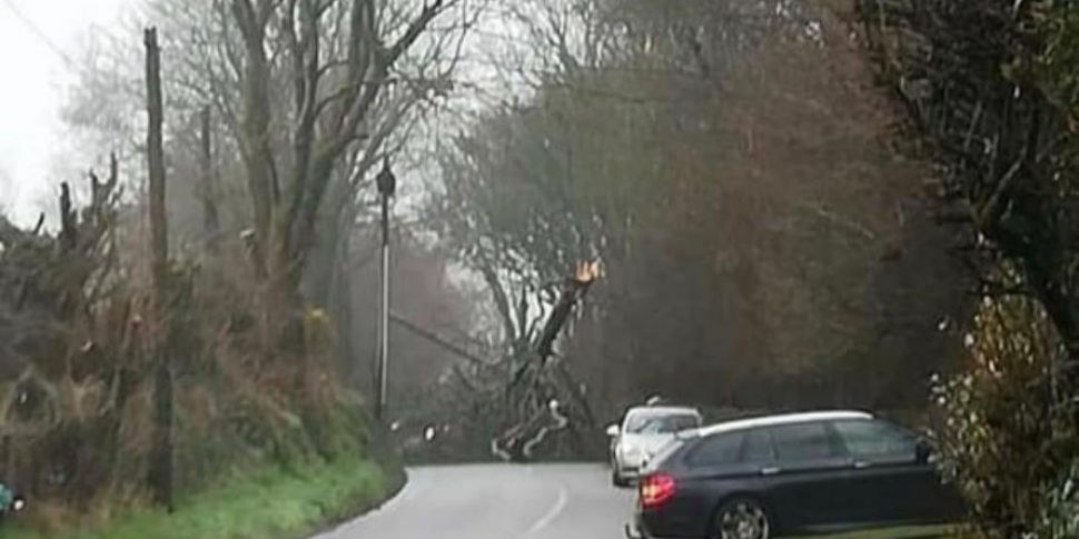 Tree Down as Cork is under a s...