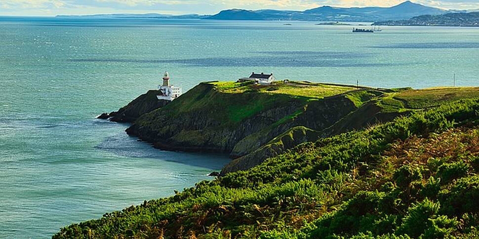 Kid-Boom On Dublin's Howth Hea...