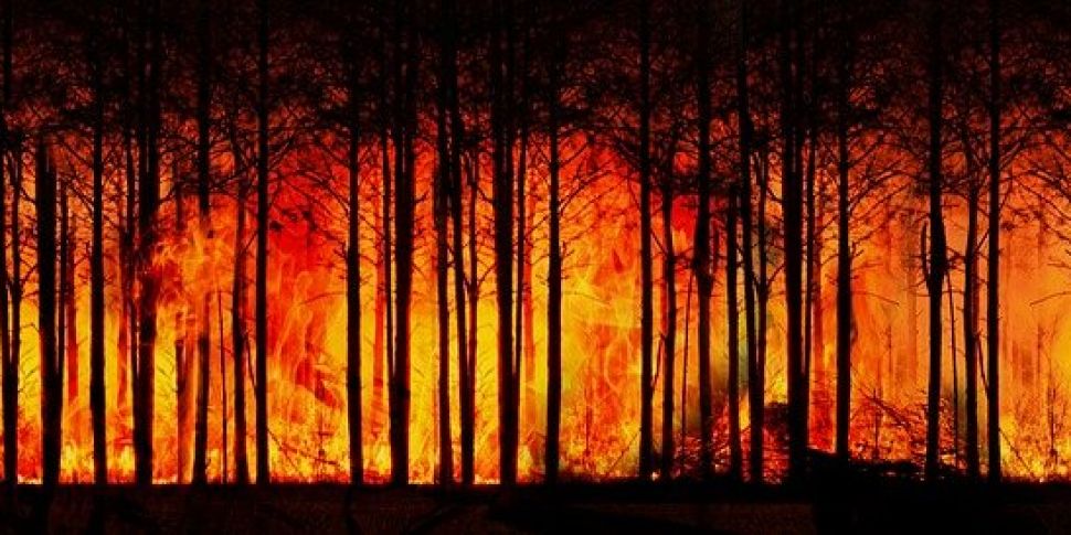 Wildfires continue across Euro...