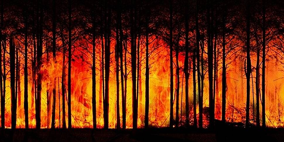 Wildfires Continue To Rage Acr...