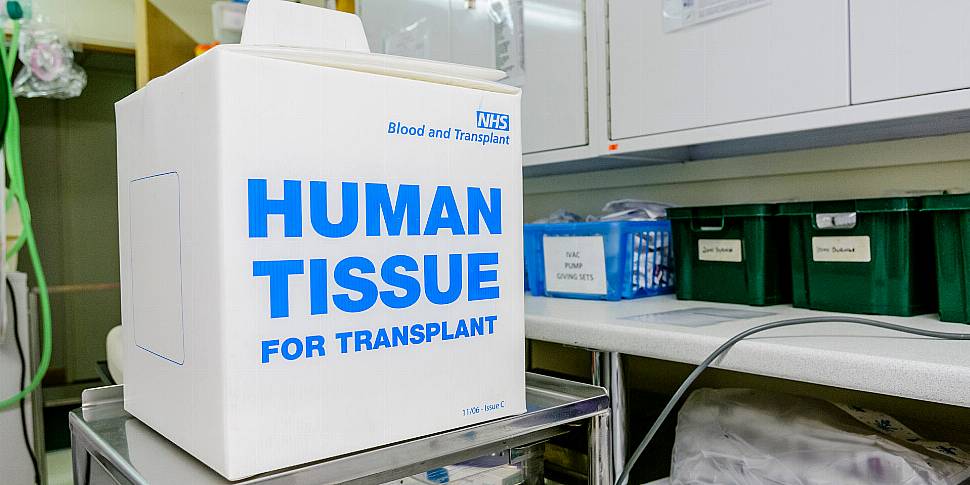 282 Organ Transplants Carried...