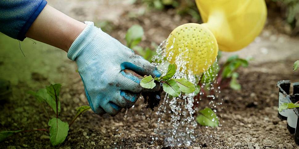 Night-Time Water Restrictions...