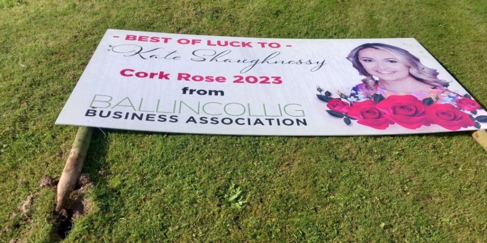 SIGNS SUPPORTING CORK ROSE REM...