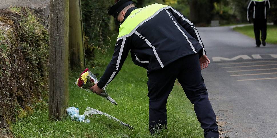 Gardaí Described Crash In Coun...