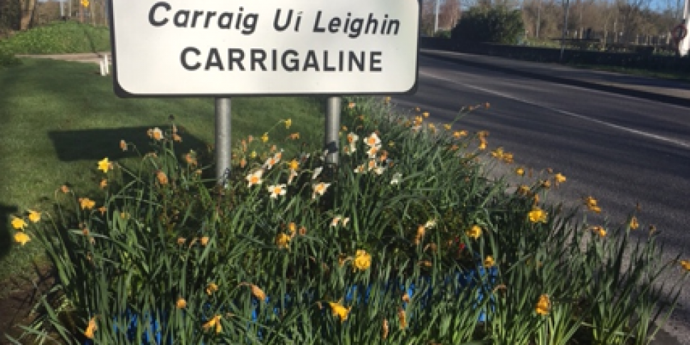 Carrigaline may be split into...