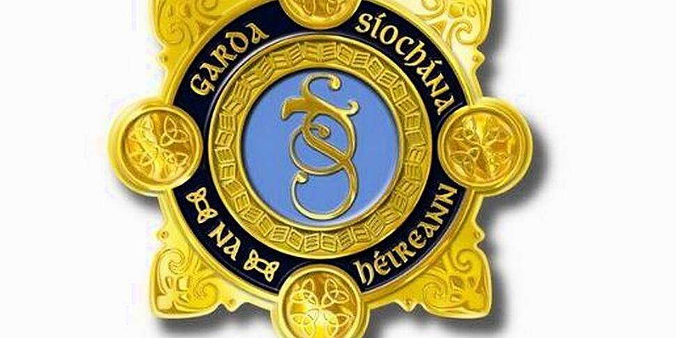 Gardaí continuing to appeal fo...