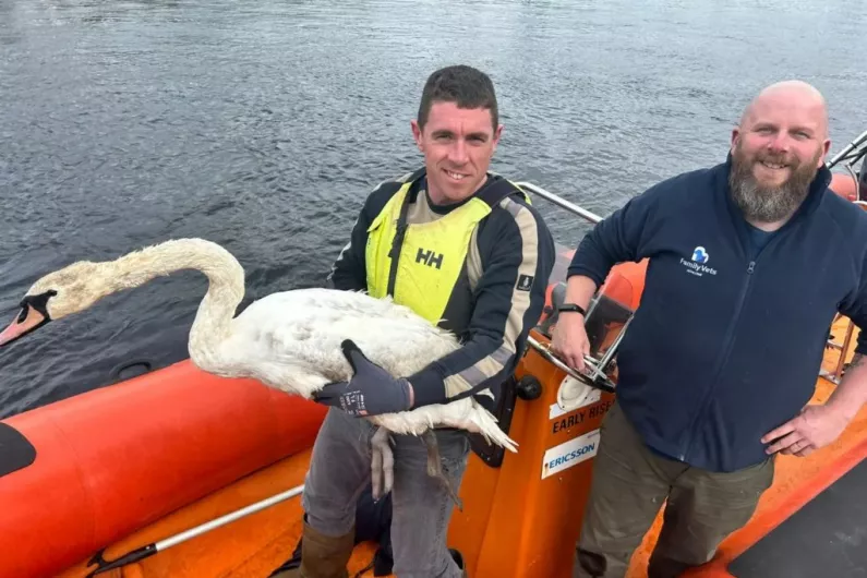 Swan trapped in fishing line rescued by local sub-aqua club