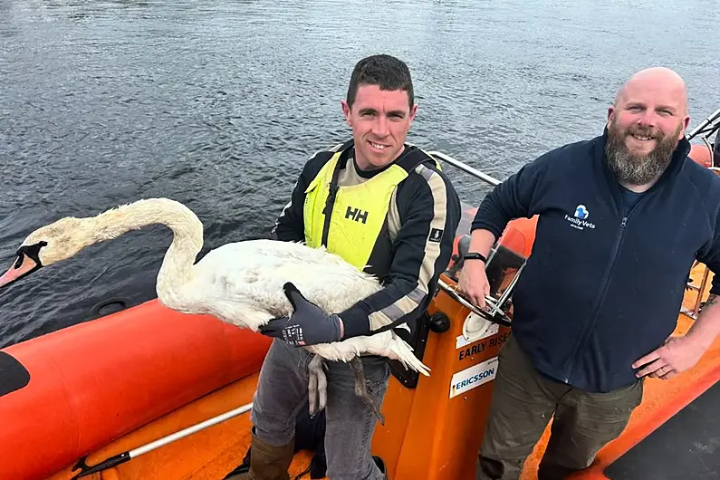 Swan trapped in fishing line rescued by local sub-aqua club