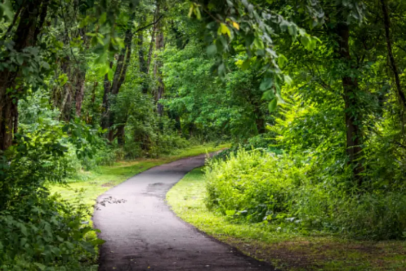 Longford and Westmeath councils to work together on new Greenway project