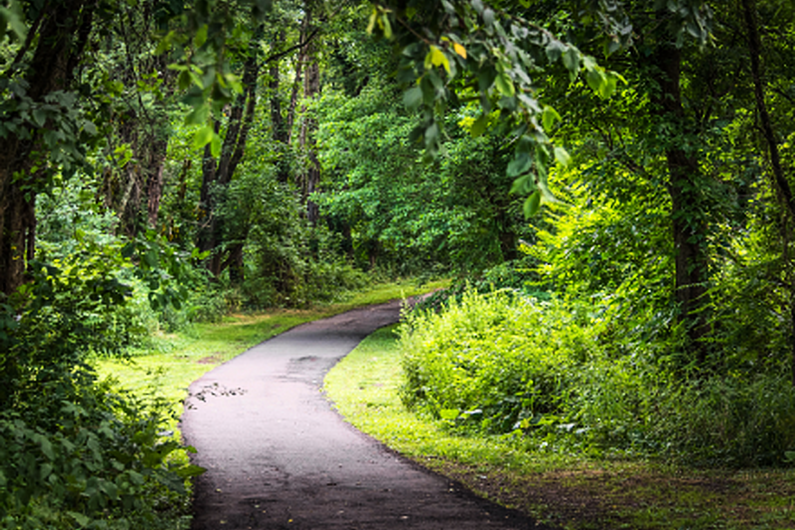 A Roscommon social entrepreneur welcomes government new rural Ireland plan