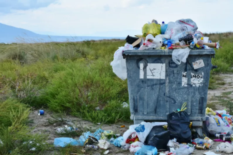 A Westmeath councillor calls for special team to investigate rubbish disposal