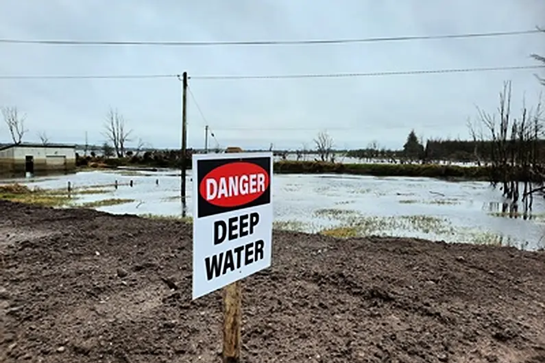 Wildlife must be protected during Lough Funshinagh flood works - planning body