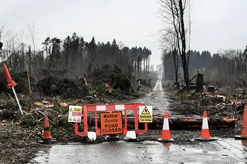 Clean-up ongoing at popular Roscommon park damaged by Storm &Eacute;owyn