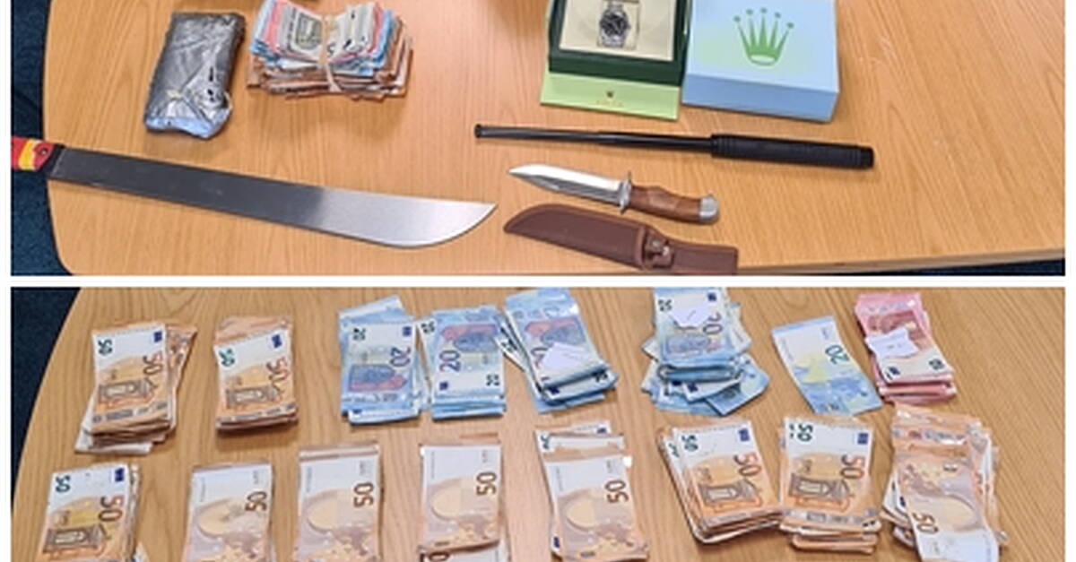 9 arrested following Garda operation in Ballinasloe - Vimarsana News
