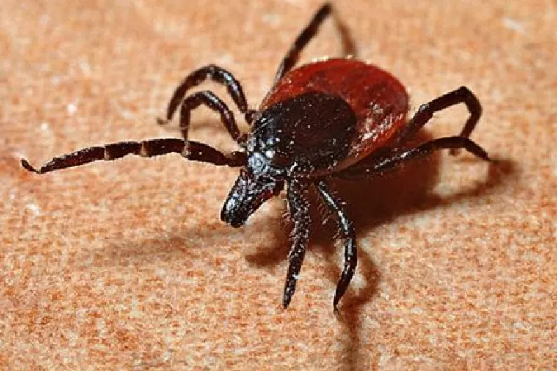 Local doctor issues warning over tick bites and risk of Lyme Disease this summer