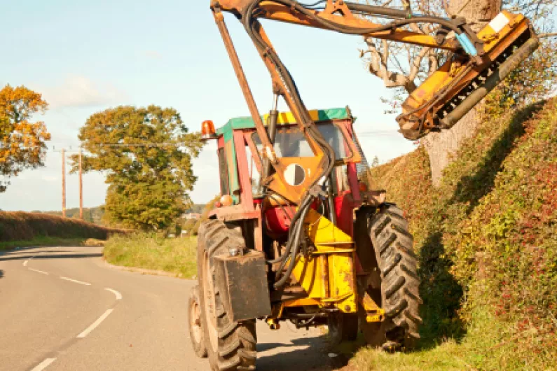 Leitrim Councillor encourages local authority to engage with IFA over verge cutting
