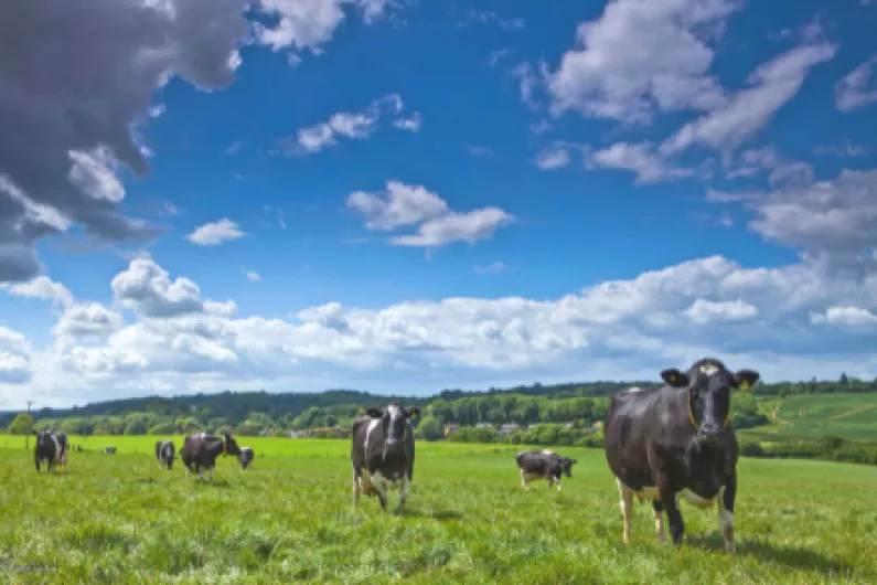 Dairy plant seeks to build solar panels at Roscommon factory