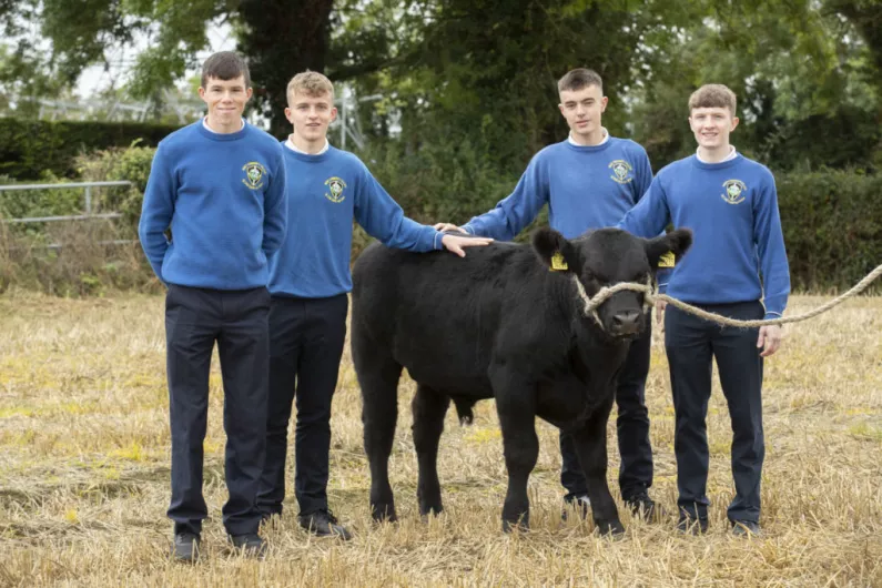 Students from three schools in Shannonside region progress to Certified Irish Angus finals