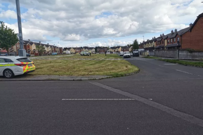 Boy dies in fatal crash in Longford