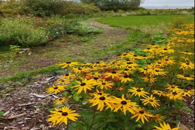 Appeal to people to respect Ballaghaderreen Community Garden
