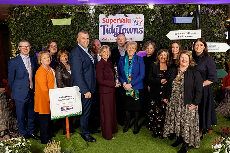 Local groups recognised at this year's Tidy Towns Awards