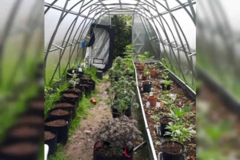 Man arrested after cannabis grow house discovered in Roscommon