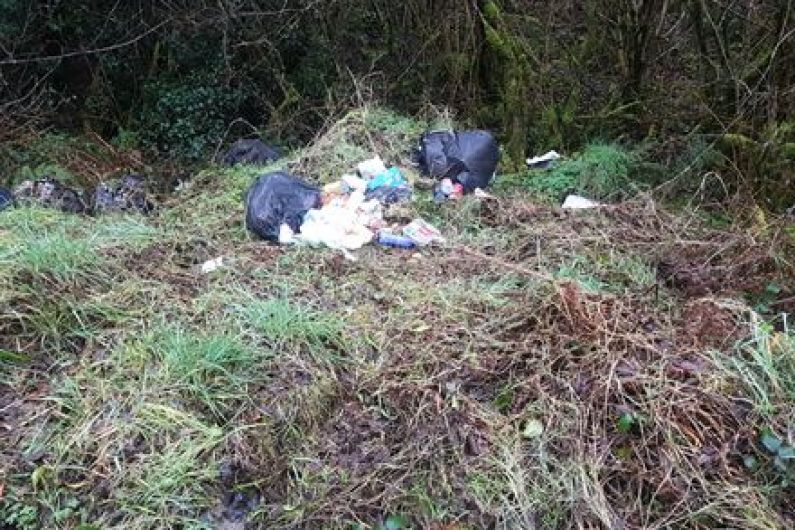 Almost 240 illegal dumping complaints made in Longford this year