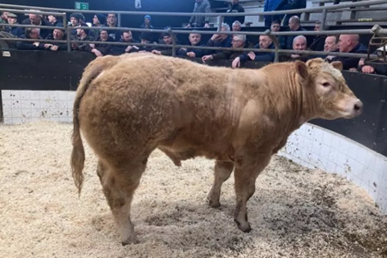 LISTEN: Elphin Mart Chairman reflects on record sales year