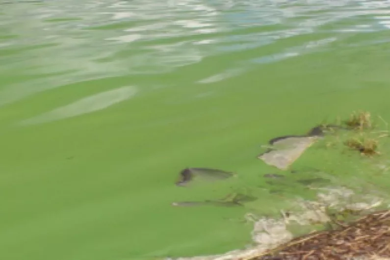 Algal bloom warning issued for popular Leitrim lake