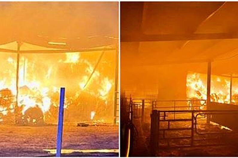 LISTEN: Athlone family targeted in series of arson attacks