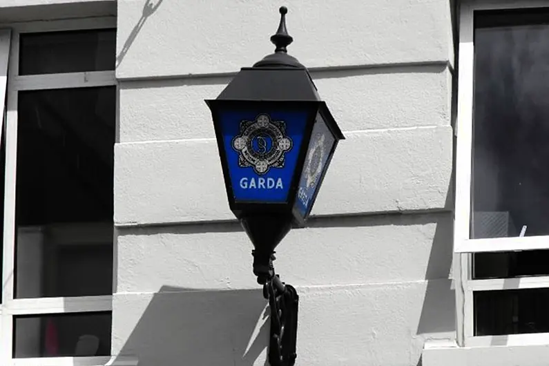 Garda&iacute; renew appeal for information in relation to fatal Leitrim crash