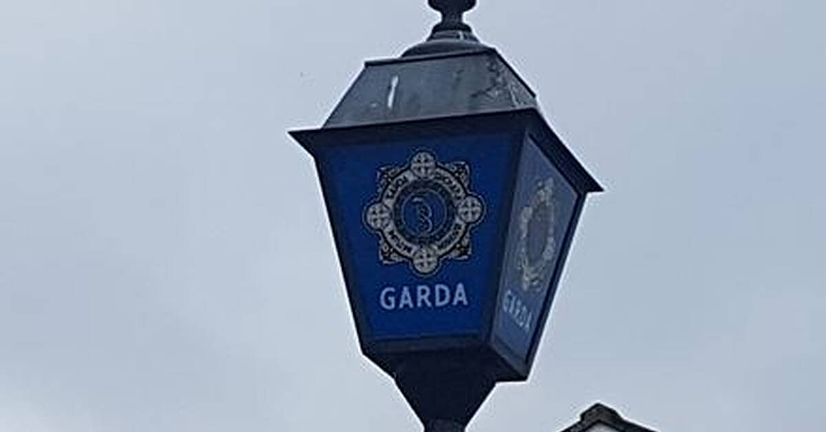 3 arrested after dramatic Garda pursuit in Westmeath - Vimarsana News