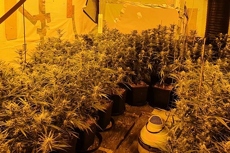 Gardai seize &euro;200,000 worth of drugs in Roscommon