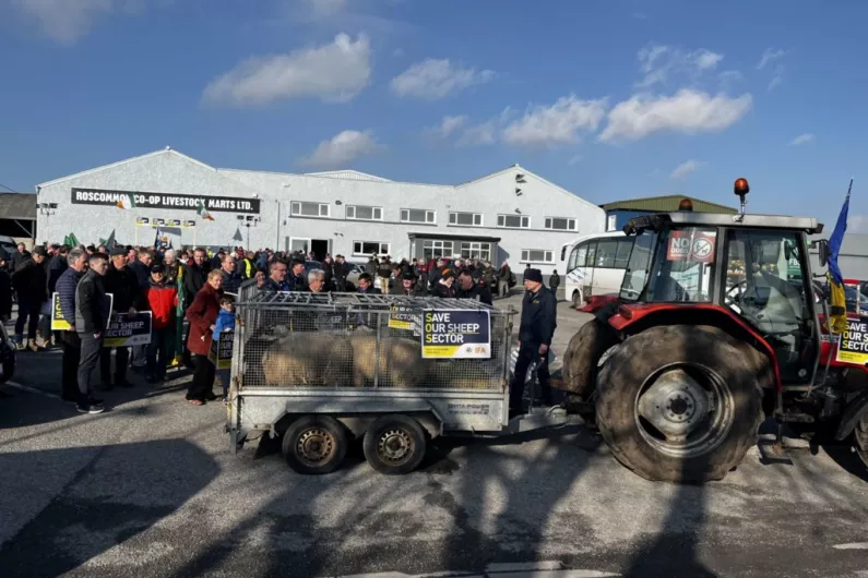 IFA protesters call for increased sheep welfare schemes