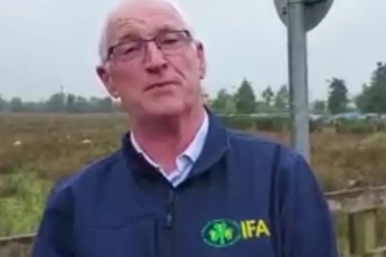 Minister must appreciate urgency of food security crisis - Local IFA