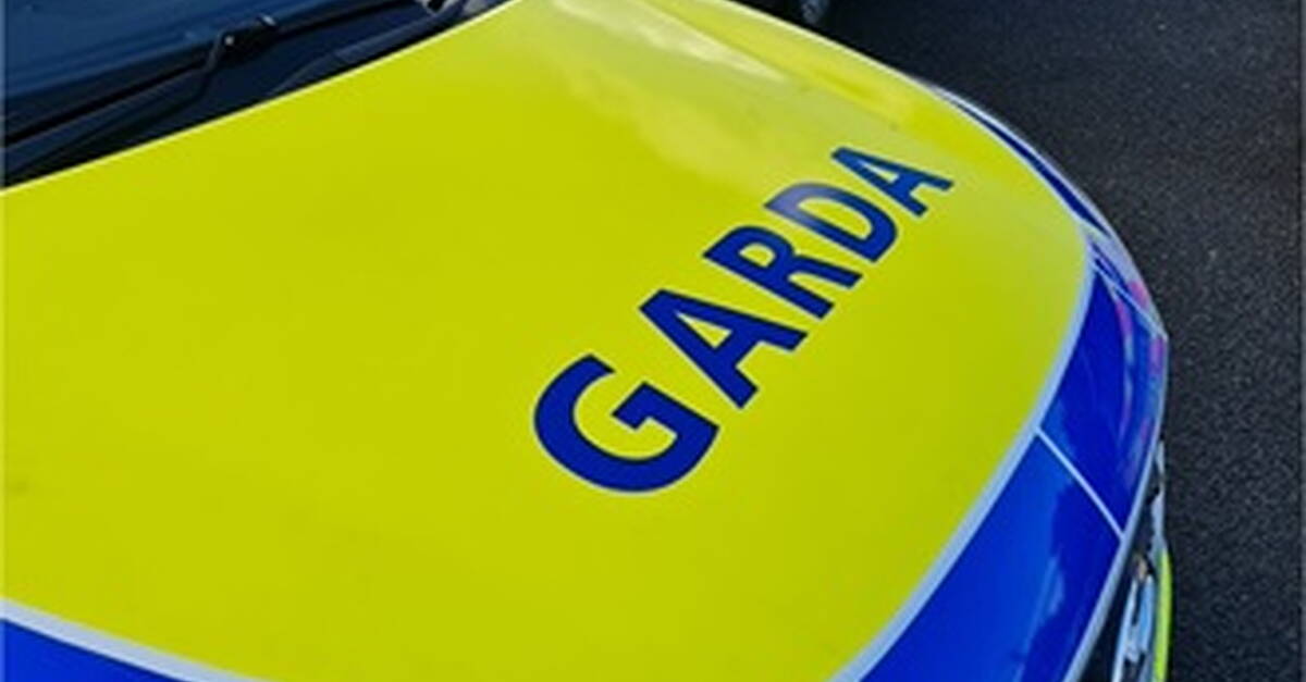 Garda killed after being hit by motorbike at checkpoint | Shannonside.ie