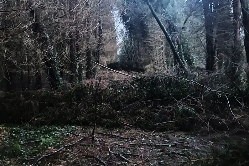 Main entrance to Mote Park in Roscommon closed after Storm Darragh